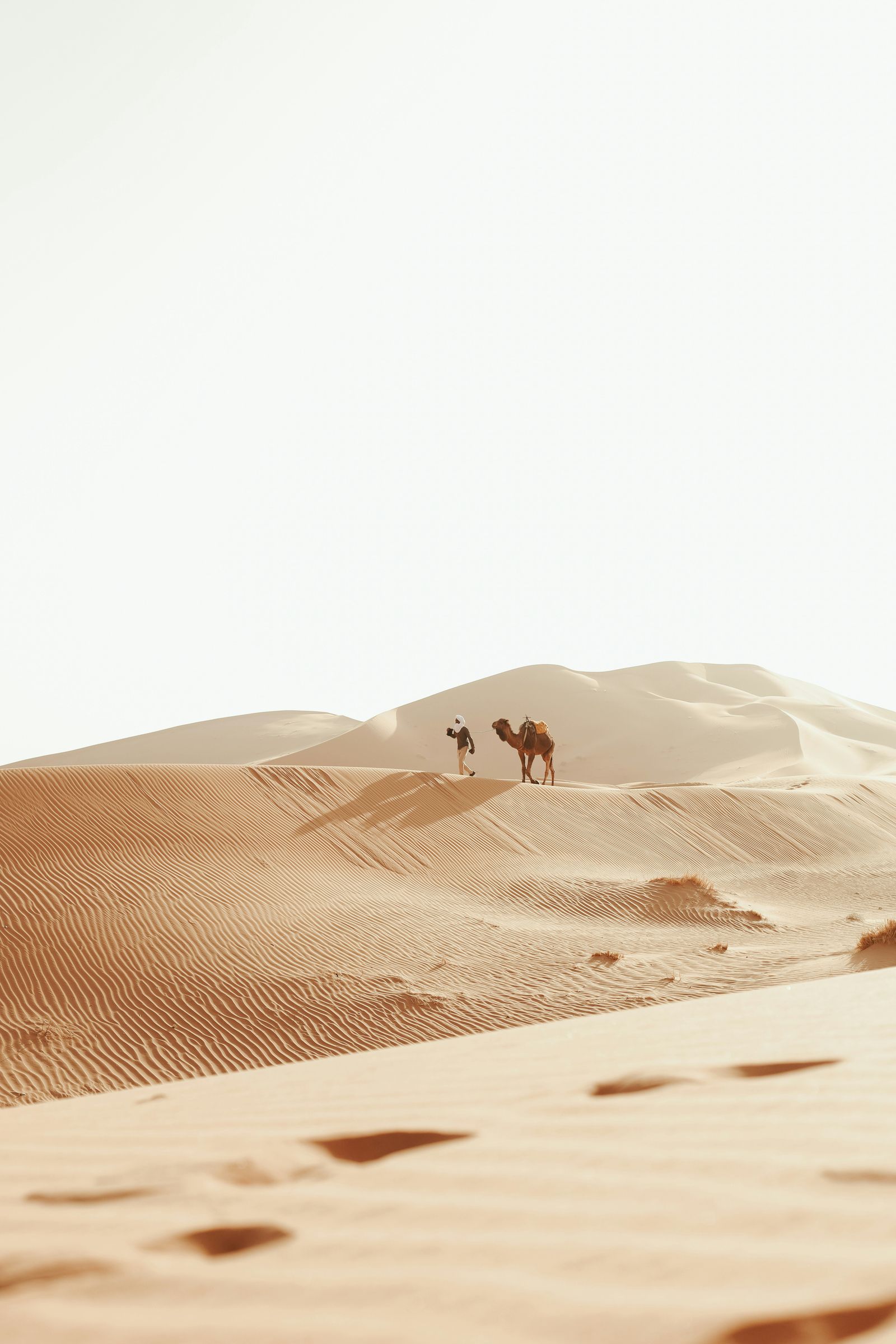 Sahara & Coastal Charms